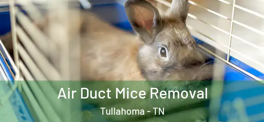  Air Duct Mice Removal Tullahoma - TN