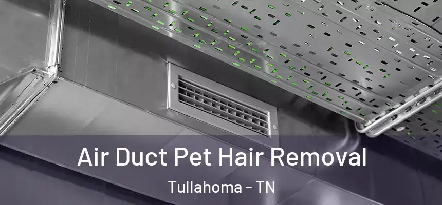  Air Duct Pet Hair Removal Tullahoma - TN