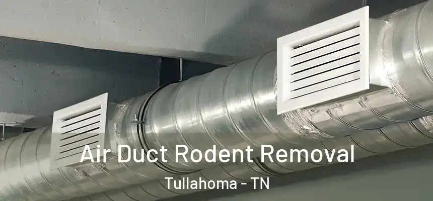  Air Duct Rodent Removal Tullahoma - TN