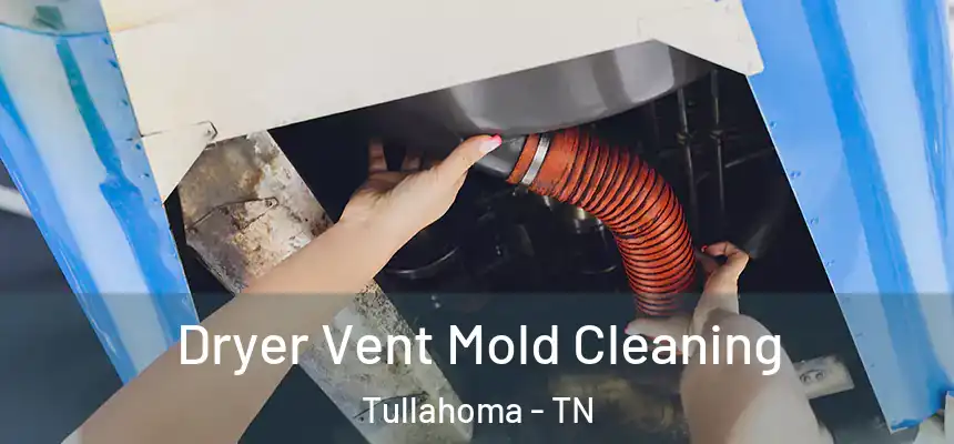  Dryer Vent Mold Cleaning Tullahoma - TN