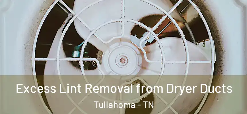 Excess Lint Removal from Dryer Ducts Tullahoma - TN