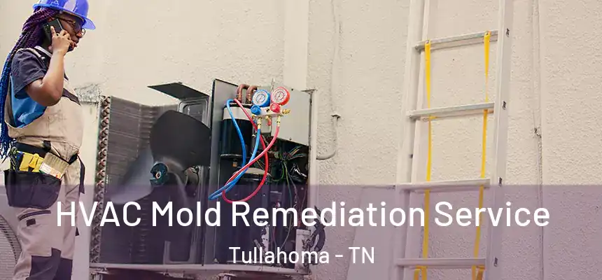  HVAC Mold Remediation Service Tullahoma - TN