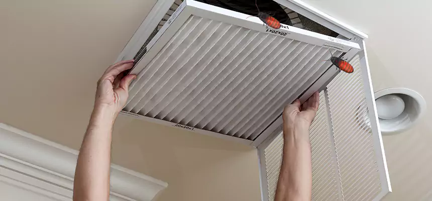 Preventive Cockroach-Proofing for Ducts in Tullahoma