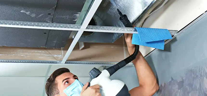 Our Air Duct Rodent Removal Services in Tullahoma, TN