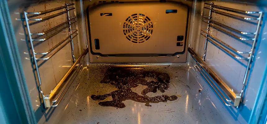 Our Dryer Vent Mold Cleaning Services in Tullahoma, TN