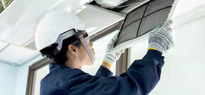 Our Mold & Mildew Removal from Air Ducts Services in Tullahoma, TN