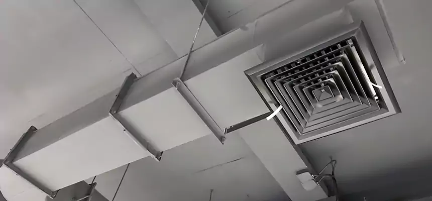 Our Pest Removal From Ducts Services in Tullahoma, TN