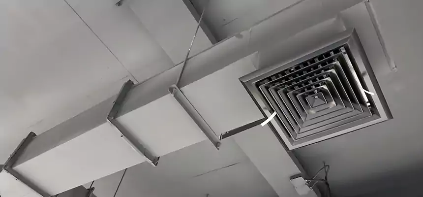 Our Rodent Droppings In Vents Services in Tullahoma, TN