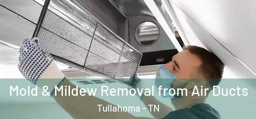 Mold & Mildew Removal from Air Ducts Tullahoma - TN