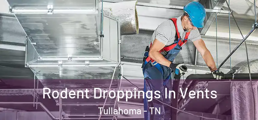  Rodent Droppings In Vents Tullahoma - TN