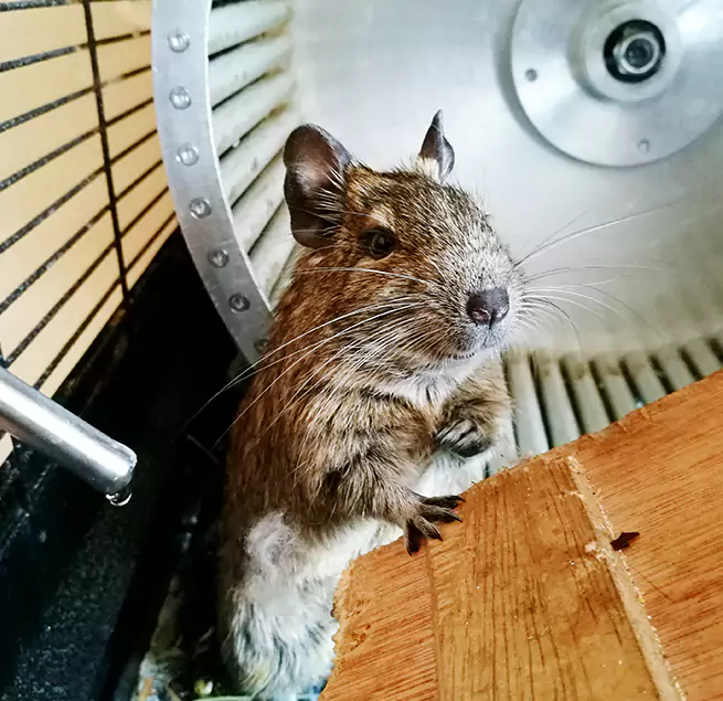 Why Homeowners & Businesses Trust Us Tullahoma, TN