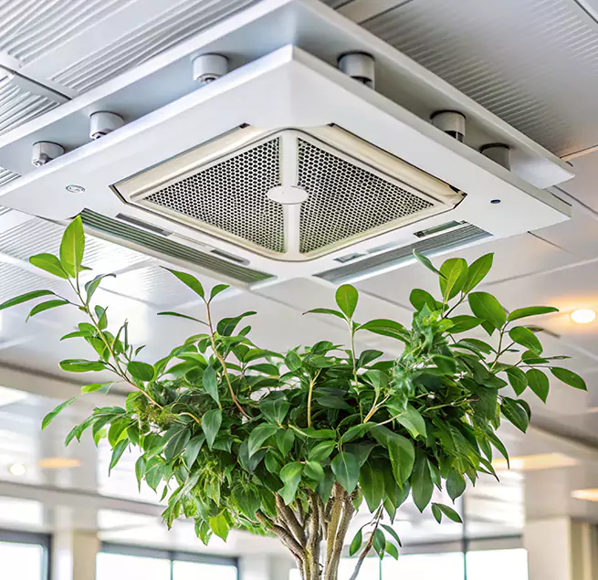 Why Homeowners & Businesses Trust Us in Tullahoma, TN